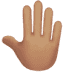 🤚🏽 raised back of hand: medium skin tone display on Apple